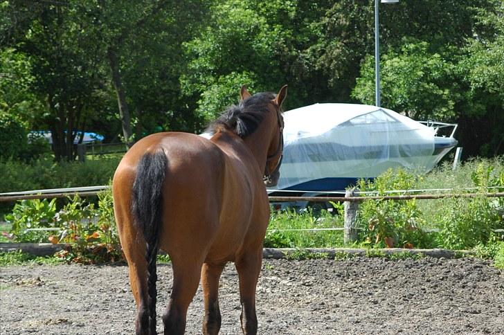 Luritos første springstævne billede 59