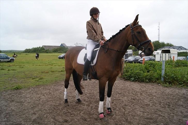 Stævne Bylderup Bov Rideklub billede 1