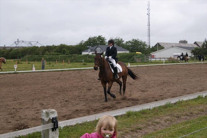 Stævne Bylderup Bov Rideklub billede 3
