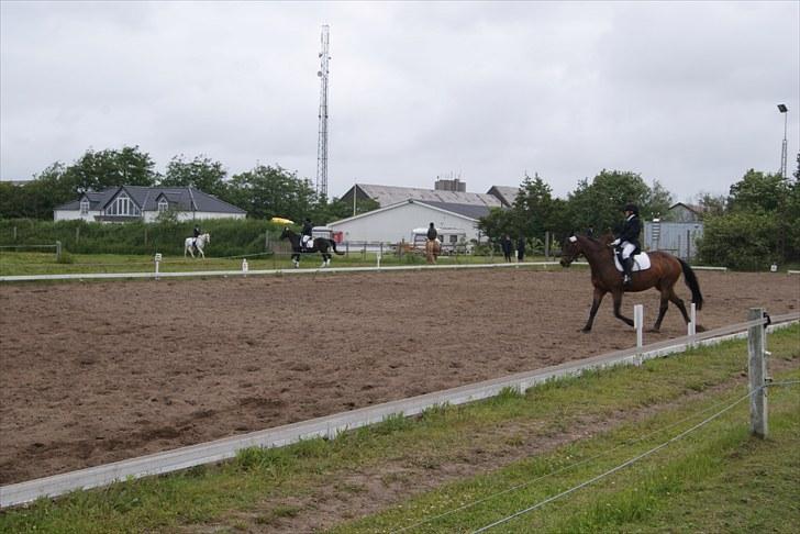 Stævne Bylderup Bov Rideklub billede 4
