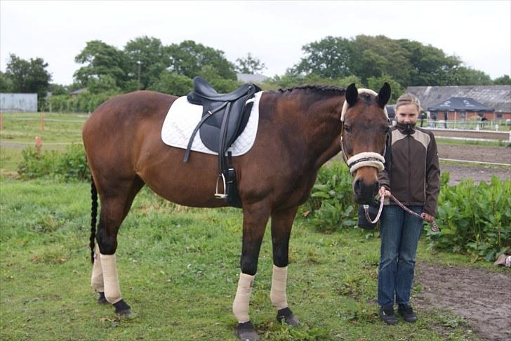 Stævne Bylderup Bov Rideklub billede 5