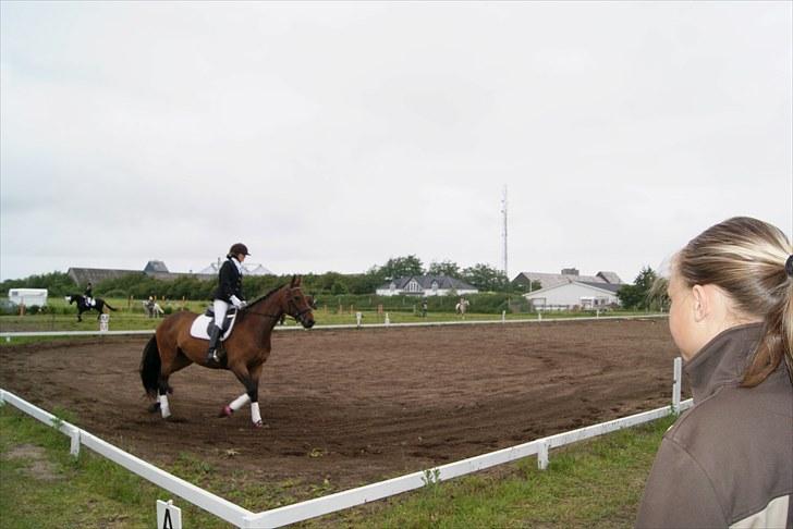 Stævne Bylderup Bov Rideklub billede 6