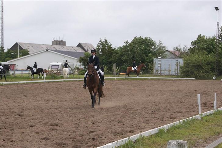 Stævne Bylderup Bov Rideklub billede 7