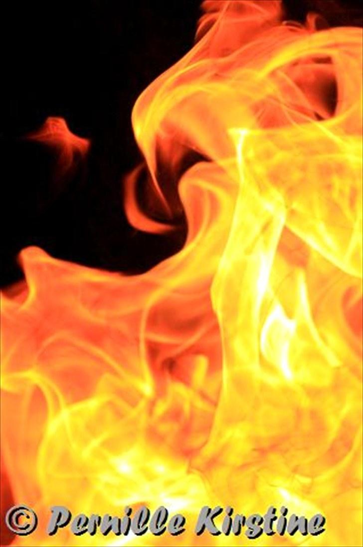 Billeder fra fødselsdag hos Liis i går :D billede 2