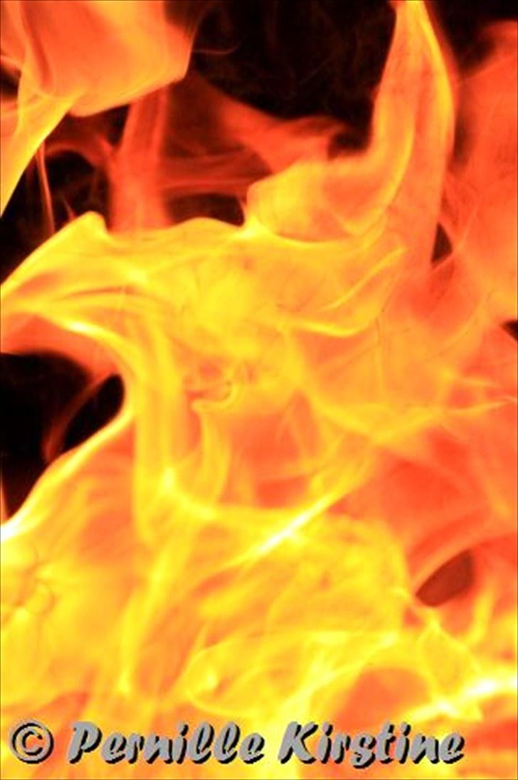 Billeder fra fødselsdag hos Liis i går :D billede 3