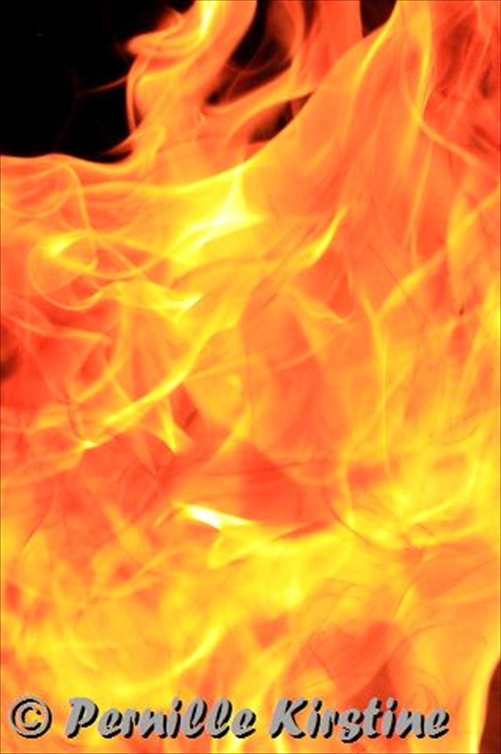 Billeder fra fødselsdag hos Liis i går :D billede 4