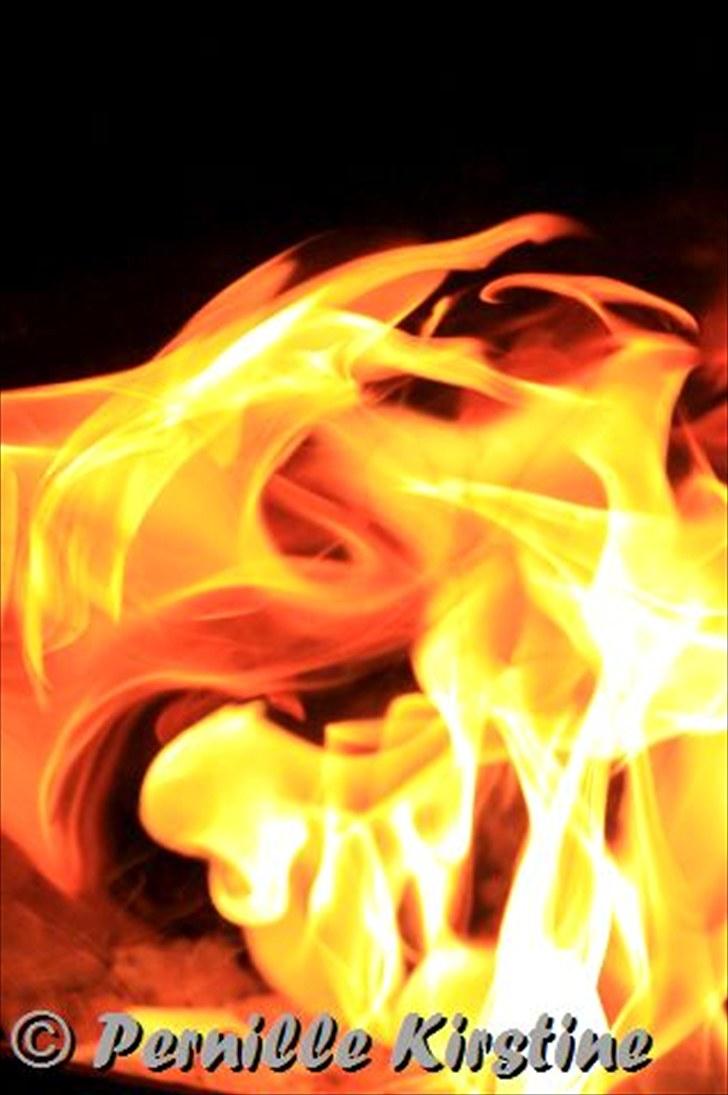 Billeder fra fødselsdag hos Liis i går :D billede 5