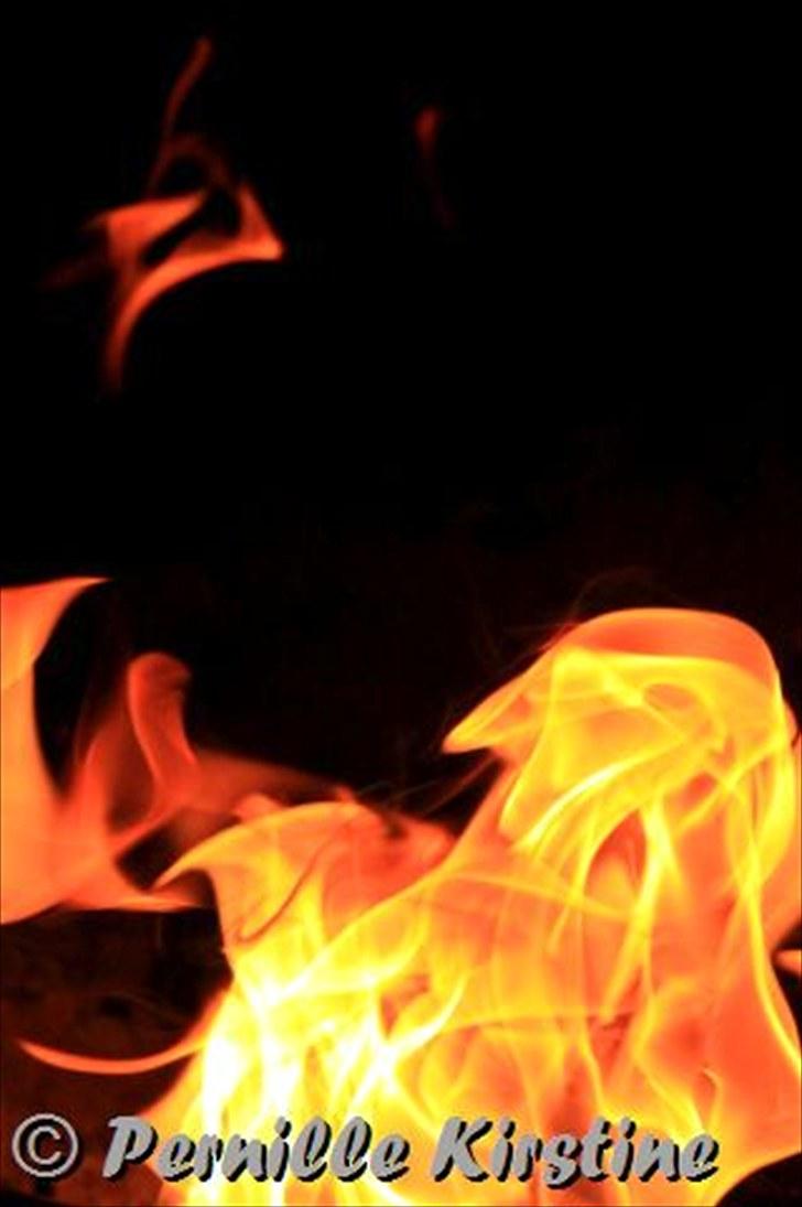 Billeder fra fødselsdag hos Liis i går :D billede 6