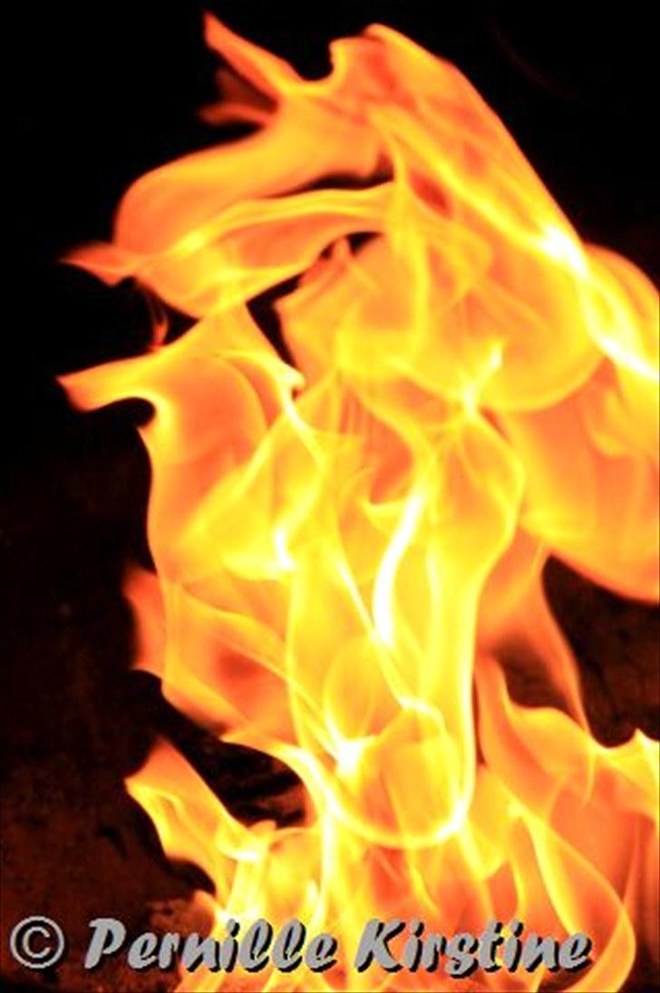 Billeder fra fødselsdag hos Liis i går :D billede 7