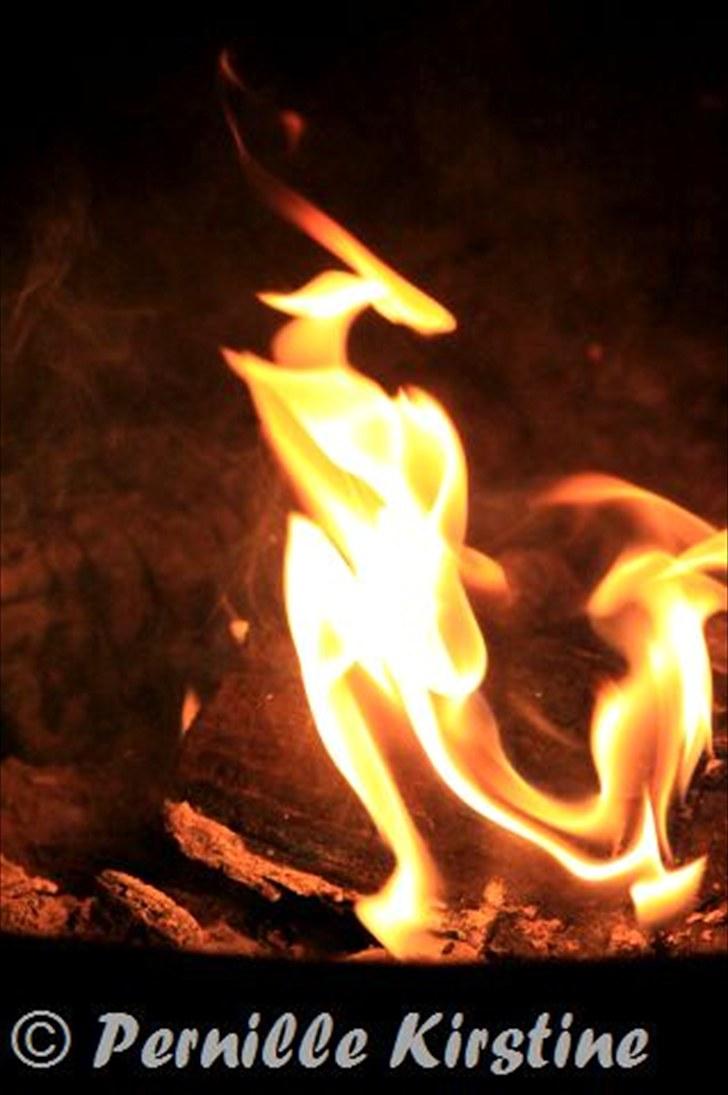 Billeder fra fødselsdag hos Liis i går :D billede 8