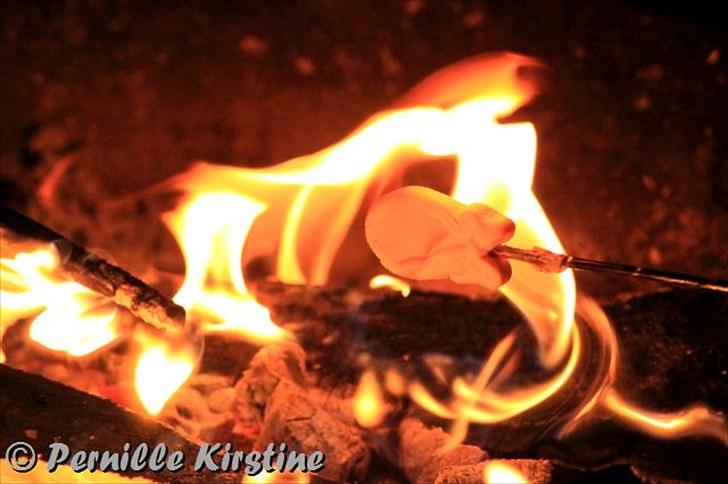 Billeder fra fødselsdag hos Liis i går :D billede 9