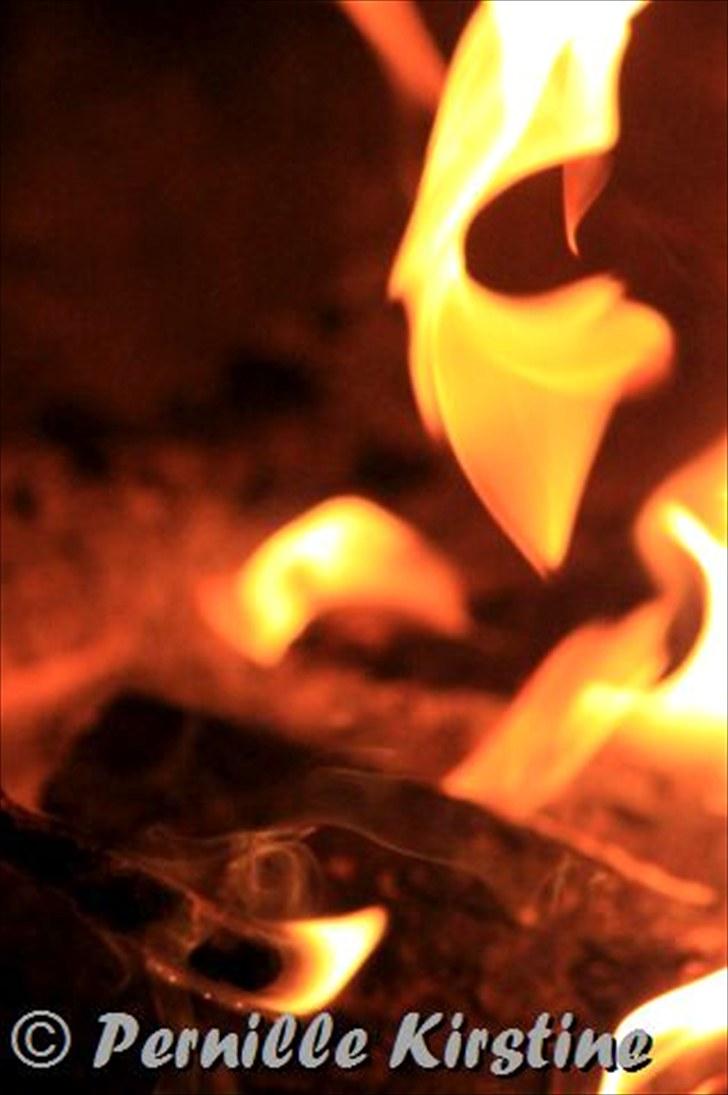 Billeder fra fødselsdag hos Liis i går :D billede 11