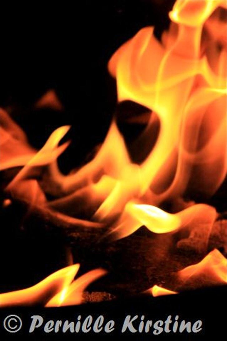 Billeder fra fødselsdag hos Liis i går :D billede 12