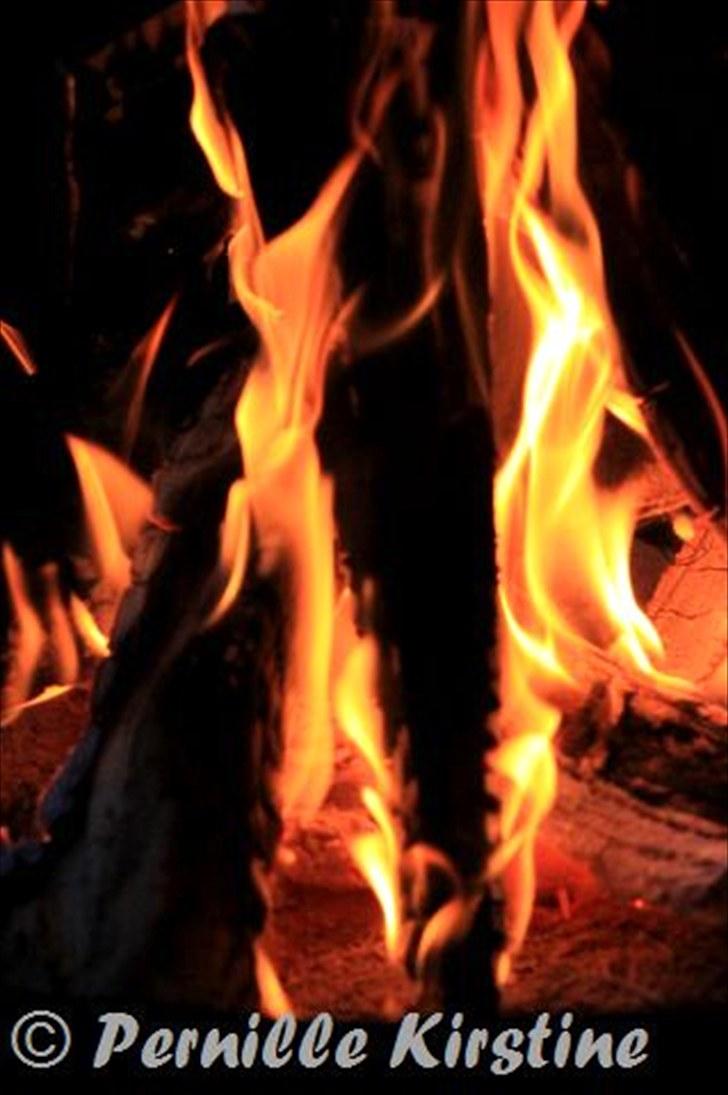 Billeder fra fødselsdag hos Liis i går :D billede 15