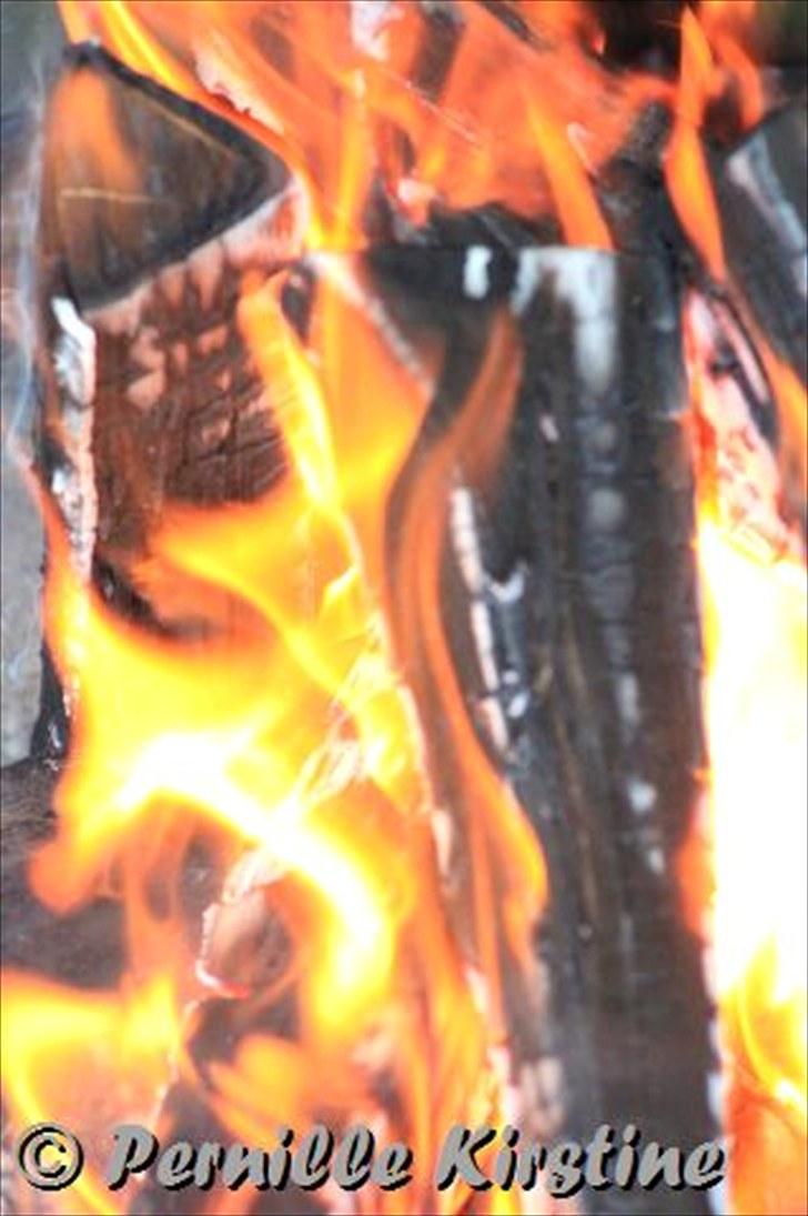 Billeder fra fødselsdag hos Liis i går :D billede 16