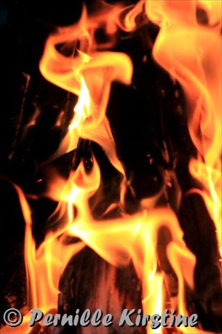 Billeder fra fødselsdag hos Liis i går :D billede 19