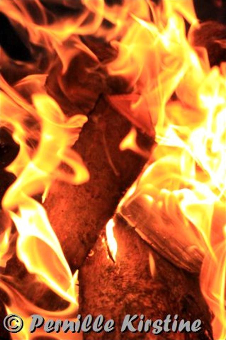 Billeder fra fødselsdag hos Liis i går :D billede 20