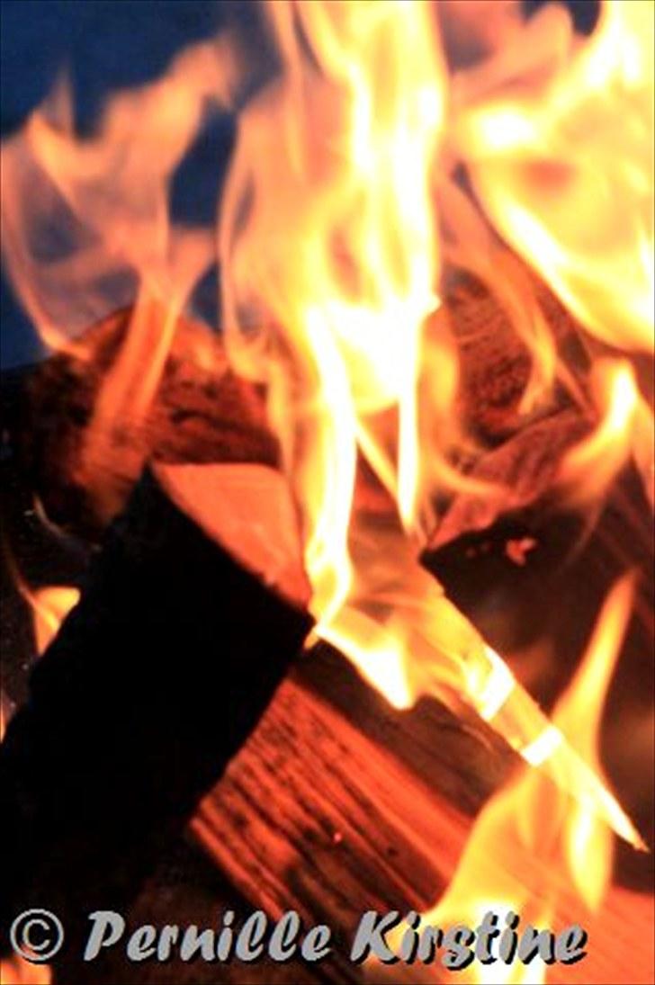 Billeder fra fødselsdag hos Liis i går :D billede 21