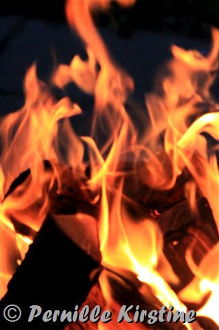 Billeder fra fødselsdag hos Liis i går :D billede 22