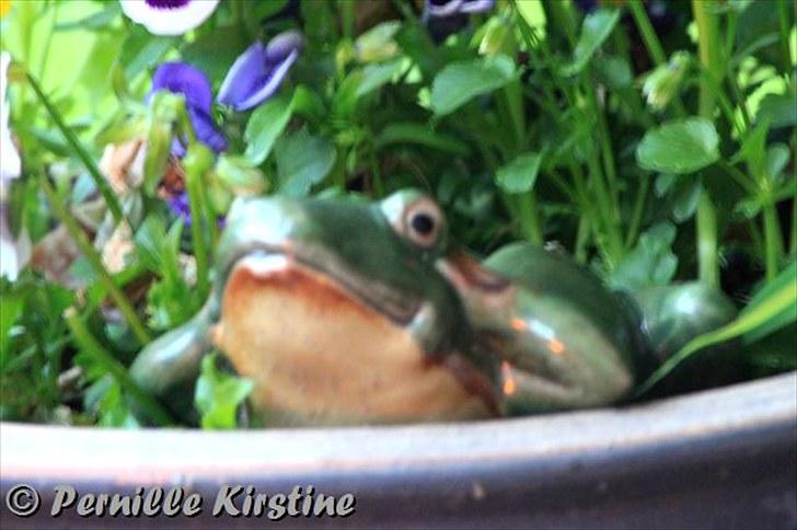 Billeder fra fødselsdag hos Liis i går :D billede 23