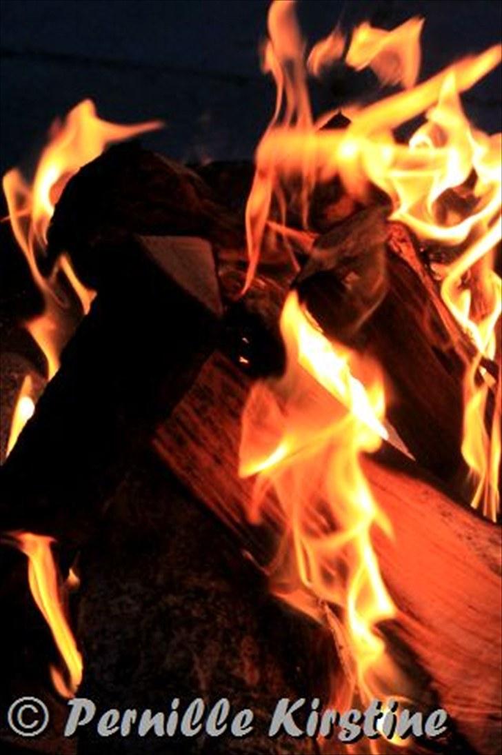 Billeder fra fødselsdag hos Liis i går :D billede 24