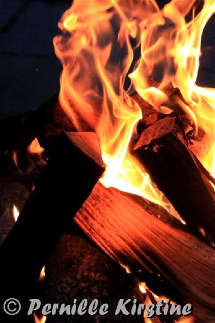 Billeder fra fødselsdag hos Liis i går :D billede 25