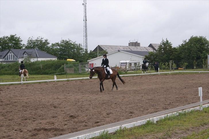 Stævne Bylderup Bov Rideklub billede 8