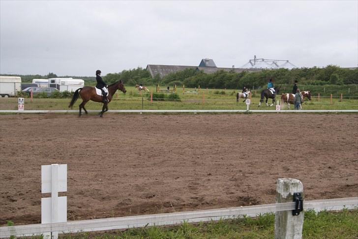 Stævne Bylderup Bov Rideklub billede 9