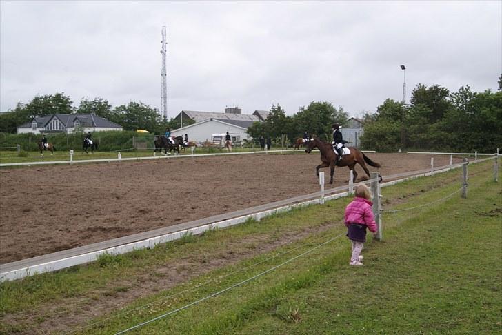 Stævne Bylderup Bov Rideklub billede 11