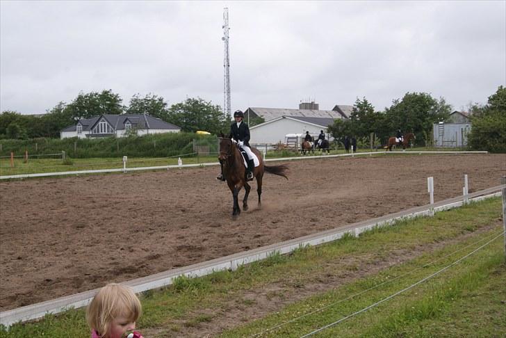 Stævne Bylderup Bov Rideklub billede 12