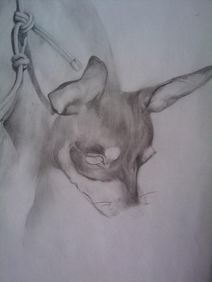 .. Tegninger :) | Åben for bestillinger. - Et lille closeup af hunden. som i kan se mangler detaljerne. det er kun lidt skitse lige nu. billede 11
