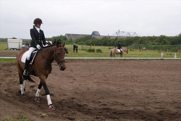 Stævne Bylderup Bov Rideklub billede 14