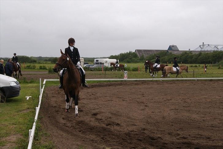 Stævne Bylderup Bov Rideklub billede 15