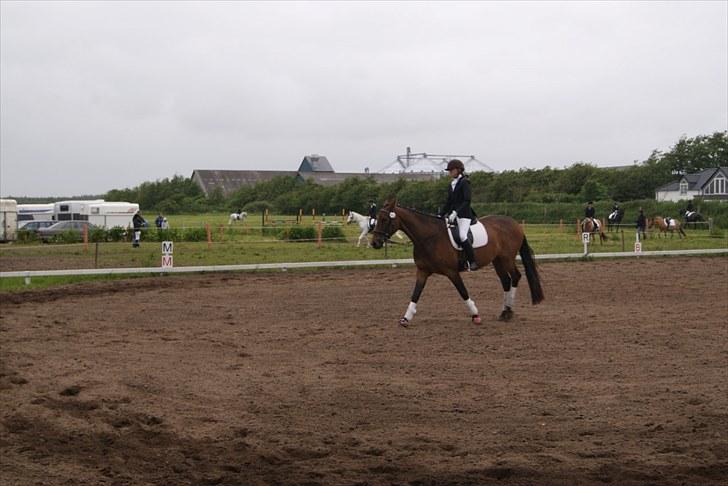 Stævne Bylderup Bov Rideklub billede 16