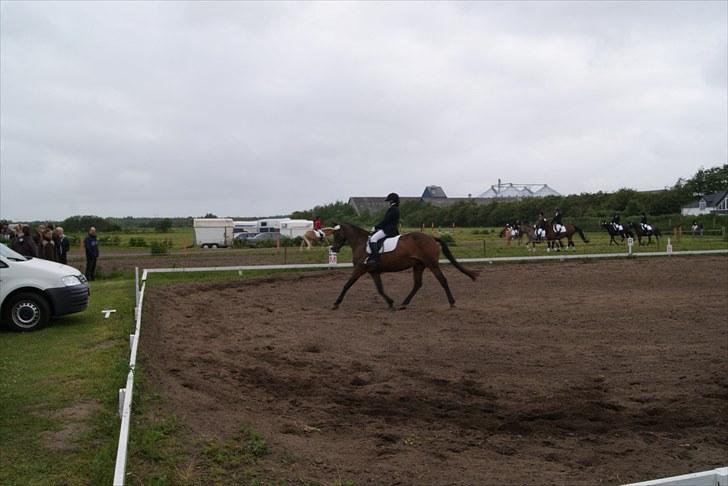 Stævne Bylderup Bov Rideklub billede 17