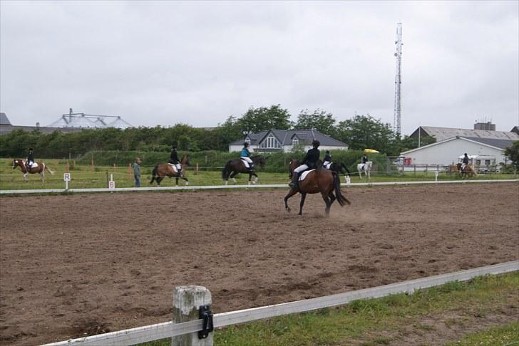 Stævne Bylderup Bov Rideklub billede 18