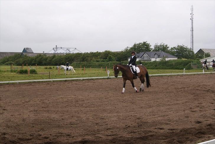 Stævne Bylderup Bov Rideklub billede 19