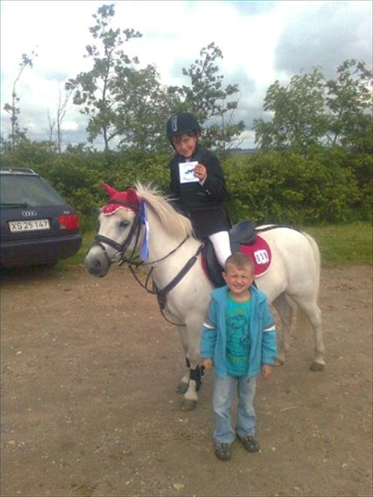 Lucky - Lucky fra Thorsø 20/6 2010
Hun fik 3 anden-pladser den week-end.
I LE samt 2x LD spring.
I LE vandt (min) Limelight over hende m. et sekund. billede 77