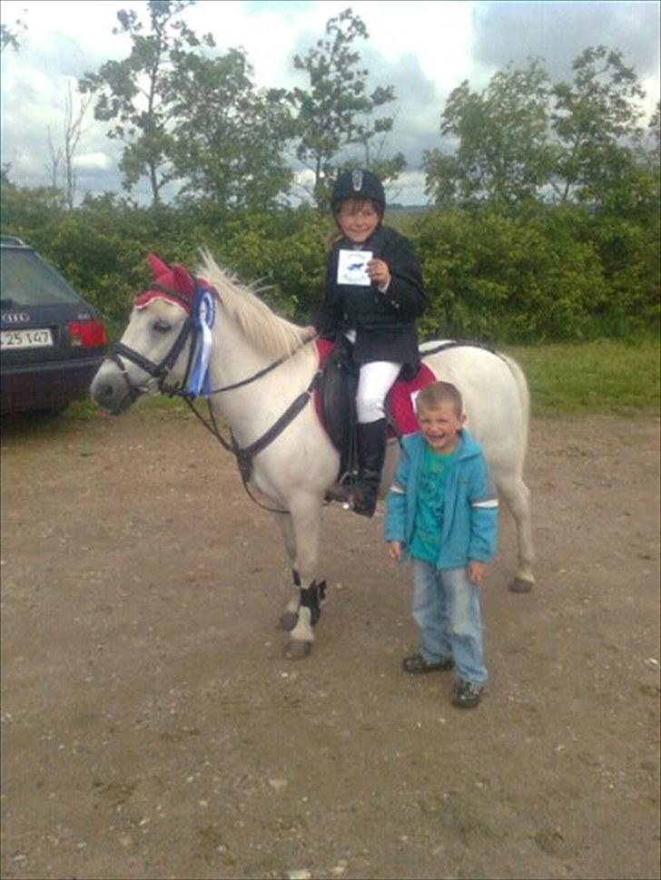 Lucky - Lucky fra Thorsø 20/6 2010
Hun fik 3 anden-pladser den week-end.
I LE samt 2x LD spring.
I LE vandt (min) Limelight over hende m. et sekund. billede 78