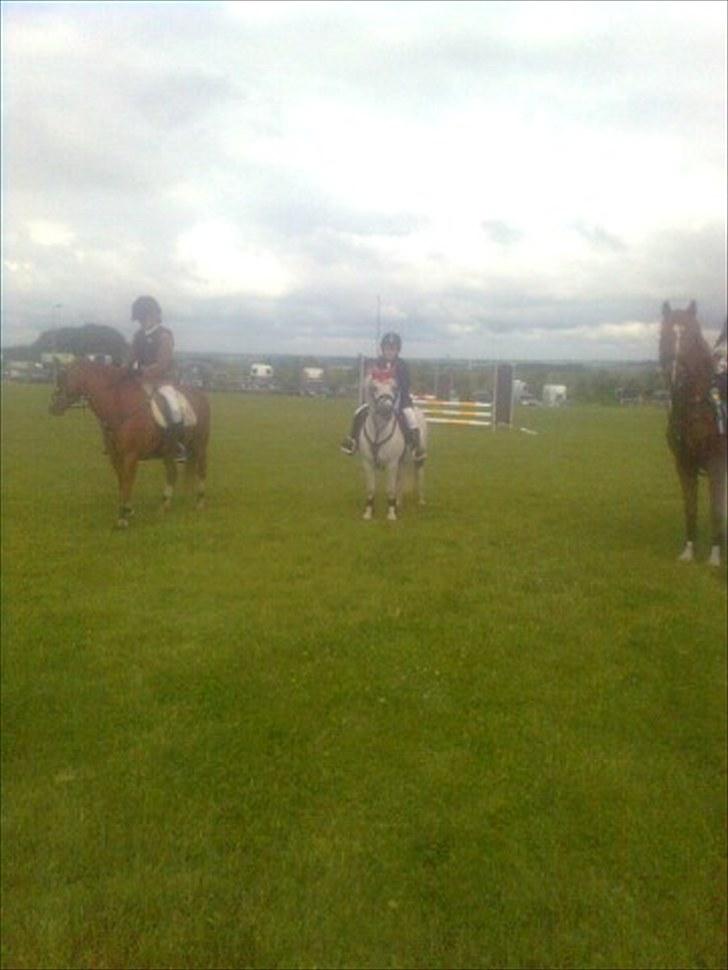 Lucky - Lucky til præmieoverrækkelse i Thorsø d. 20/6 2010.
Der var 11 med i LD´ en . Vi var 10 der var fejlfri. 
Hun skulle løbe stærkt for at løbe om kap med de store.... Og det gjorde hun. Vi blev nr. 2 af 11 billede 79