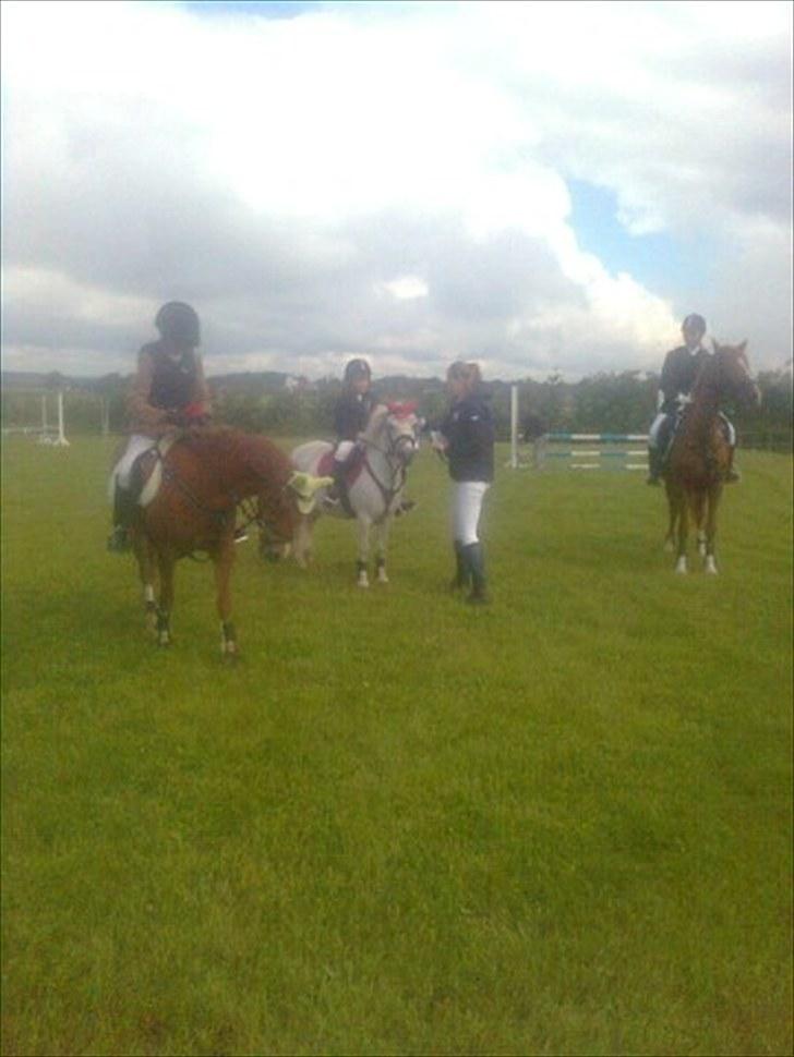 Lucky - Lucky til præmieoverrækkelse i Thorsø d. 20/6 2010.
Der var 11 med i LD´ en . Vi var 10 der var fejlfri. 
Hun skulle løbe stærkt for at løbe om kap med de store.... Og det gjorde hun. Vi blev nr. 2 af 11 billede 80