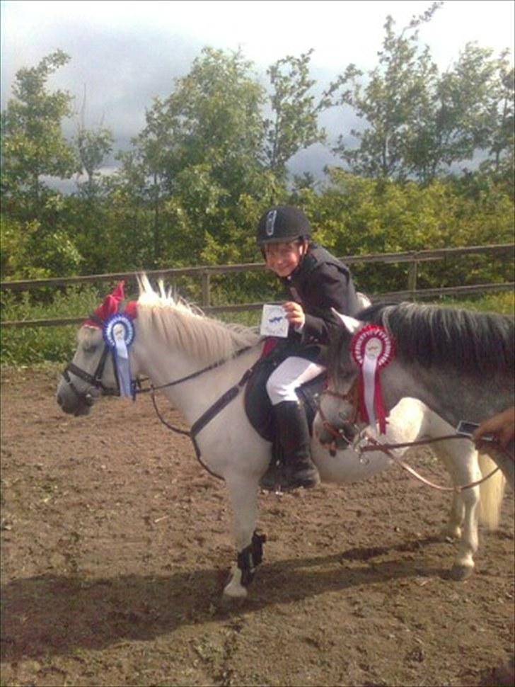 Lucky - Lucky og Limelight efter LE  Thorsø. 20/6 2010.
Limelight vandt over Lucky m. 1 sek. billede 81