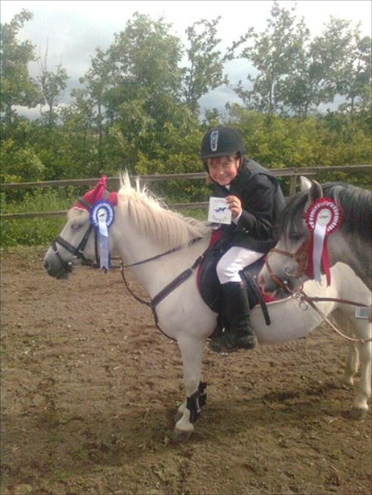 Lucky - Lucky og Limelight efter LE Thorsø. 20/6 2010.
Limelight vandt over Lucky m. 1 sek. billede 82