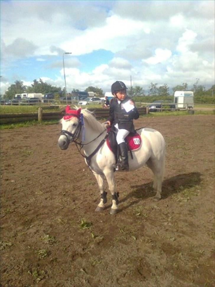 Lucky - Lucky efter LD Thorsø. 20/6 2010.
 billede 83