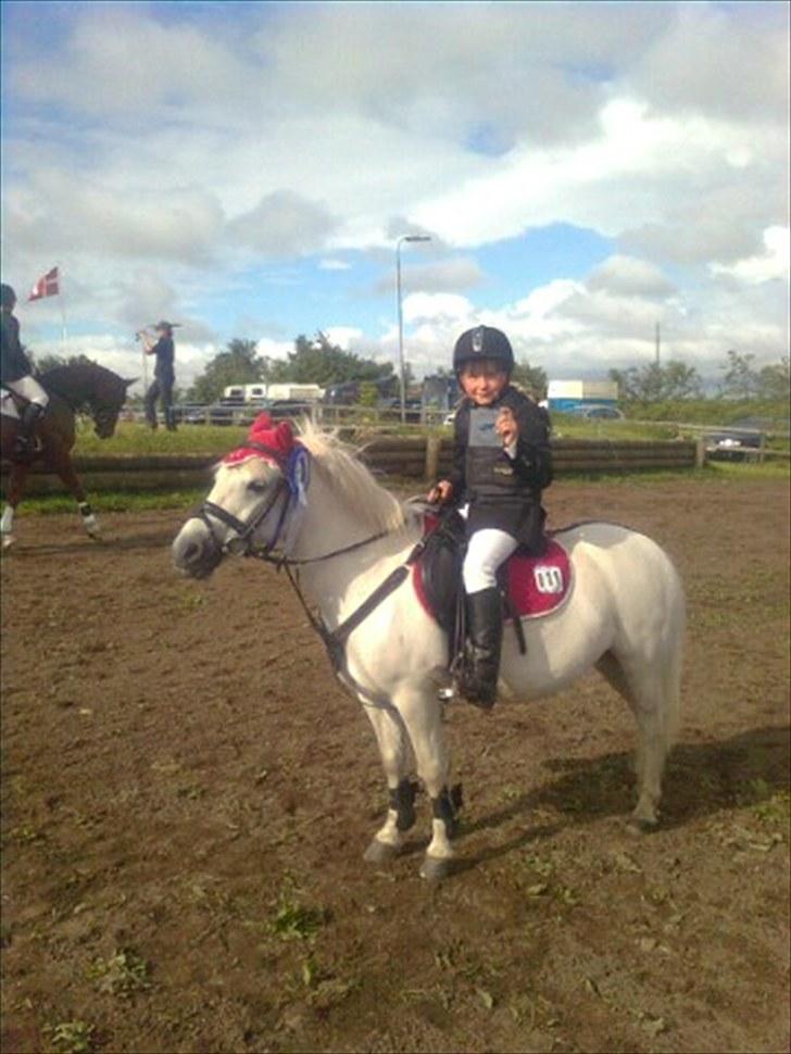 Lucky - Lucky efter LD Thorsø. 20/6 2010.
 billede 84