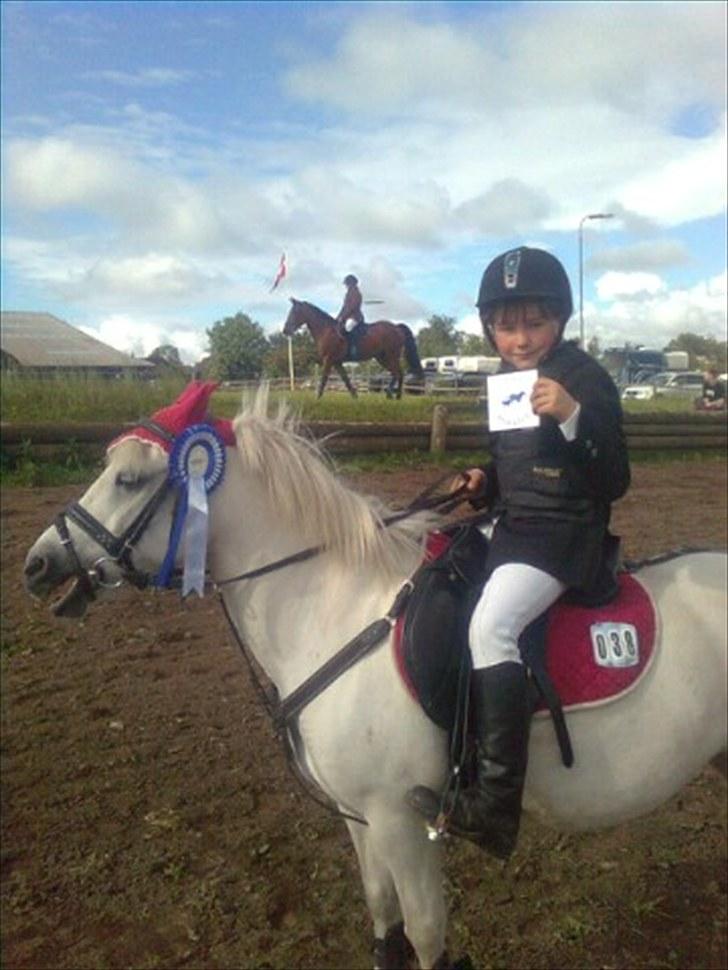 Lucky - Lucky efter LD Thorsø. 20/6 2010.
 billede 85