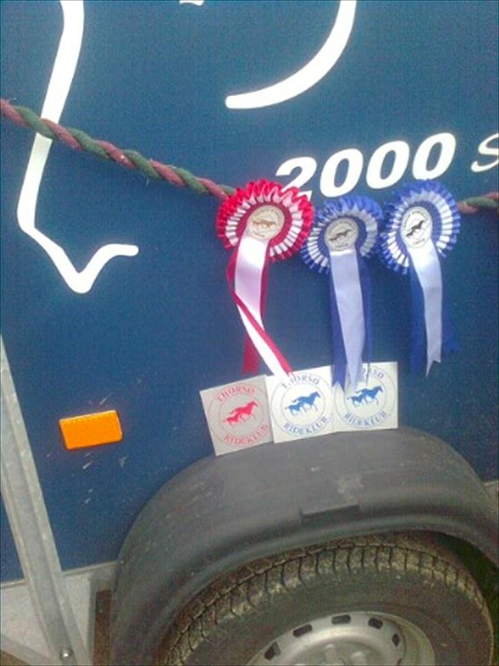 Lucky - Limelight´s 1. plads fra Thorsø 20/6 2010.
Lucky´s 2 anden-pladser samt staldplaquetter.
Lørdag vandt Lucky også en 2. plads i LD, den er ikke med på billedet billede 86