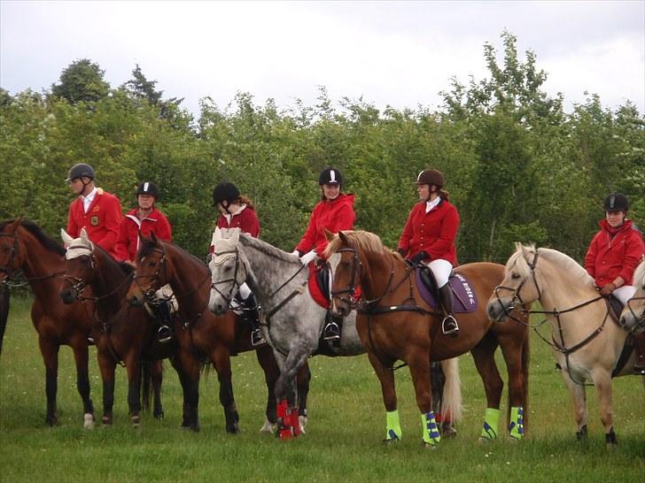 Jagt billeder - Disse billeder er fra den anden jagt i Harrild Hede d. 20 juni billede 20