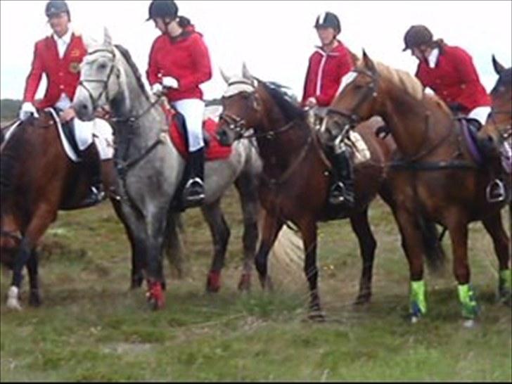 Jagt billeder - Pause..... billede 21