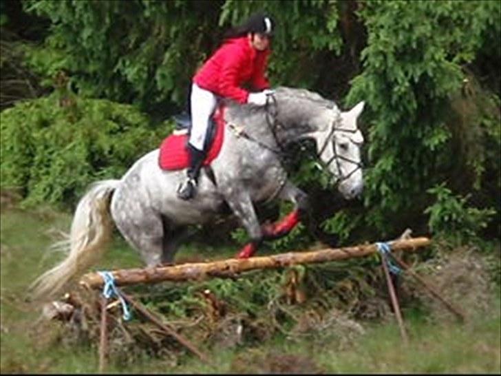 Jagt billeder - Hæ hæ ved godt vi hopper lidt sjovt, men hey vi kom da over ;-) billede 22